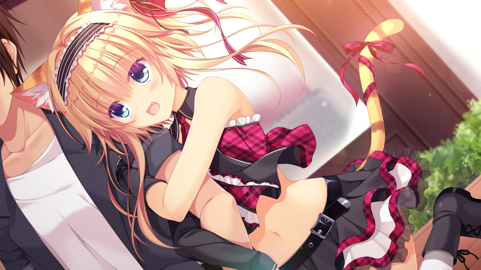 图片[2]-猫忍之心2 LOVE+PLUS/猫忍えくすはーと2 LOVE+PLUS（PC端） | 羽翼社-羽翼社