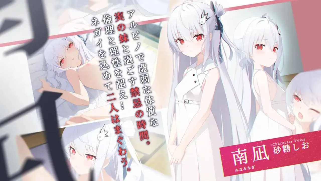 图片[1]-只愿v1.0.1/カタネガイ/片方的祈愿（安卓直装＋PC端） | 羽翼社-羽翼社