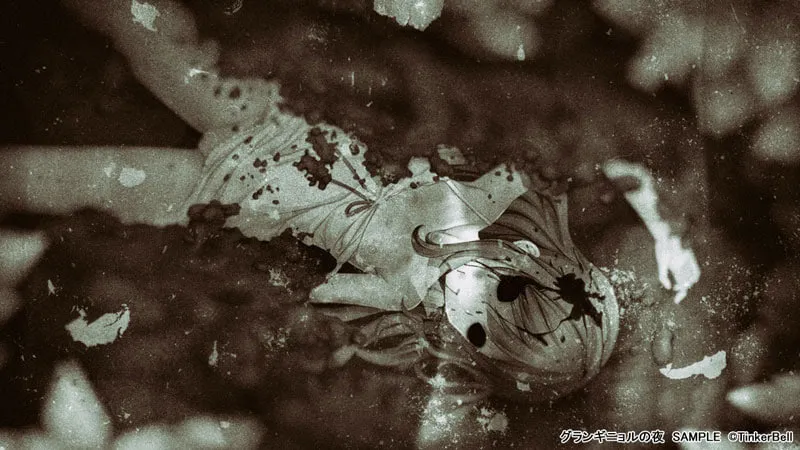 图片[6]-夜之魅影的夜晚 グランギニョルの夜（PC端） | 羽翼社-羽翼社